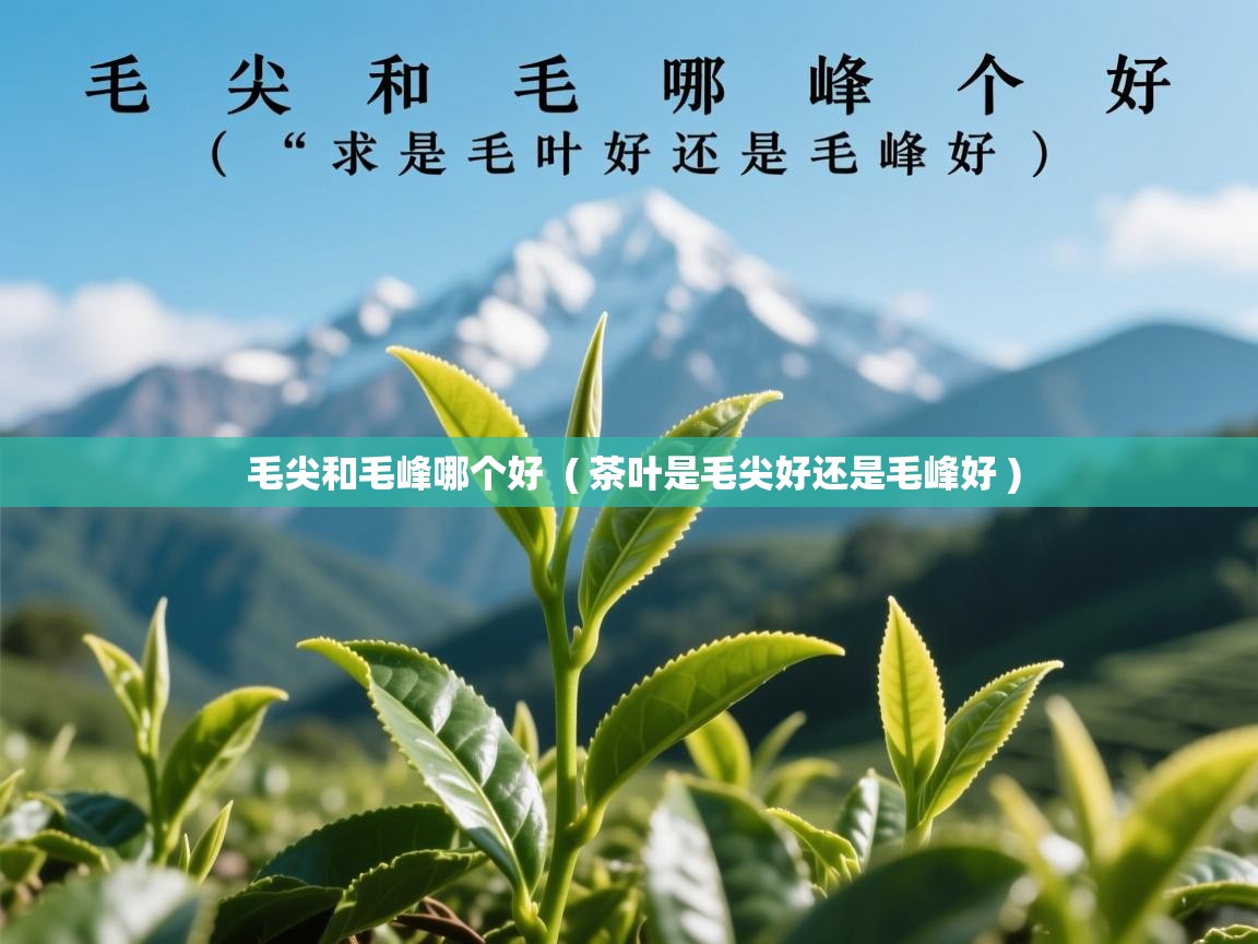  毛尖和毛峰哪个好  ( 茶叶是毛尖好还是毛峰好 )
