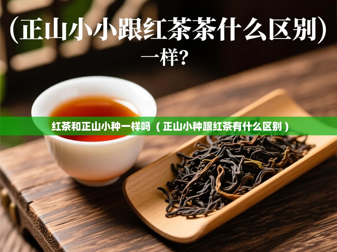  红茶和正山小种一样吗  ( 正山小种跟红茶有什么区别 )