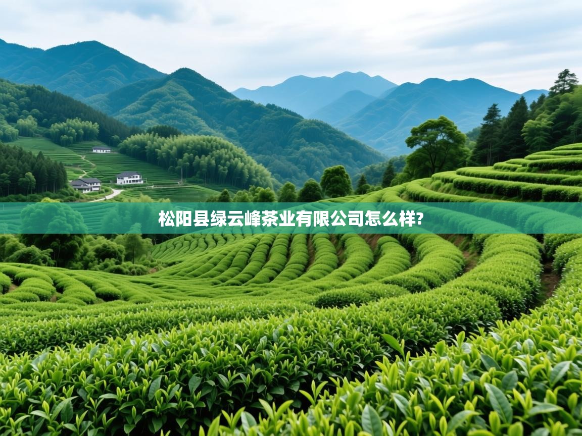 松阳县绿云峰茶业有限公司怎么样? 松阳县绿云峰茶业有限公司怎么样?