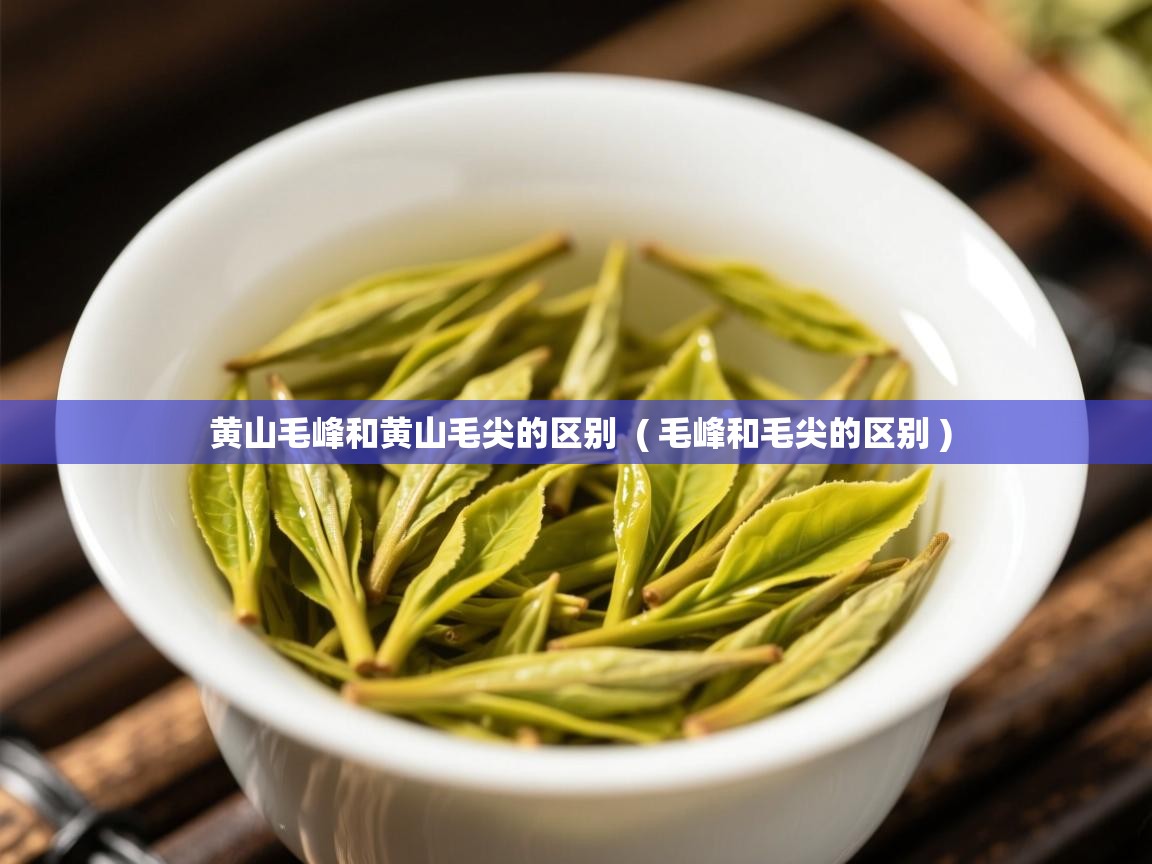 黄山毛峰和黄山毛尖的区别 ( 毛峰和毛尖的区别 ) 黄山毛峰和黄山毛尖的区别 ( 毛峰和毛尖的区别 )