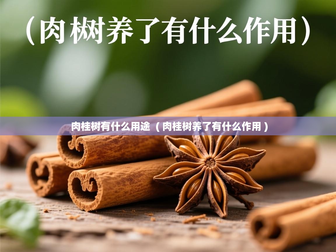 肉桂树有什么用途 ( 肉桂树养了有什么作用 ) 肉桂树有什么用途 ( 肉桂树养了有什么作用 )