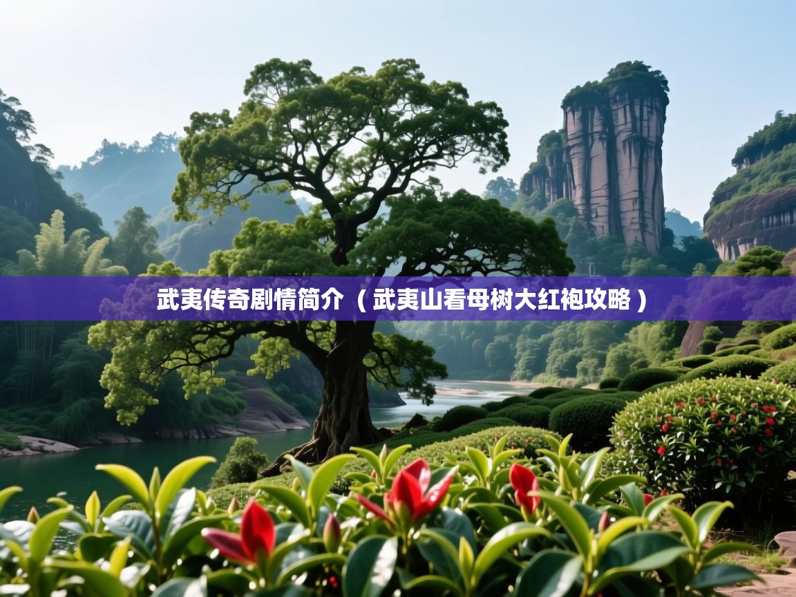 武夷传奇剧情简介 ( 武夷山看母树大红袍攻略 ) 武夷传奇剧情简介 ( 武夷山看母树大红袍攻略 )