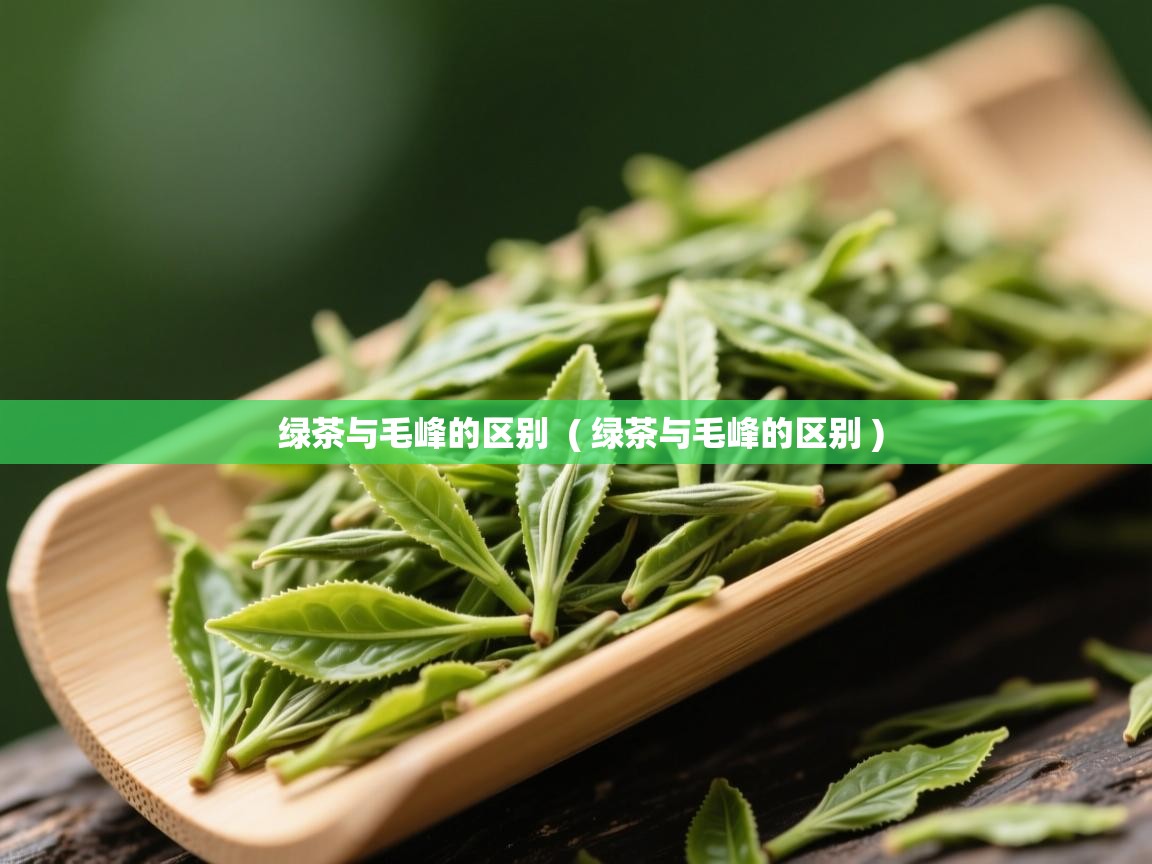  绿茶与毛峰的区别  ( 绿茶与毛峰的区别 )