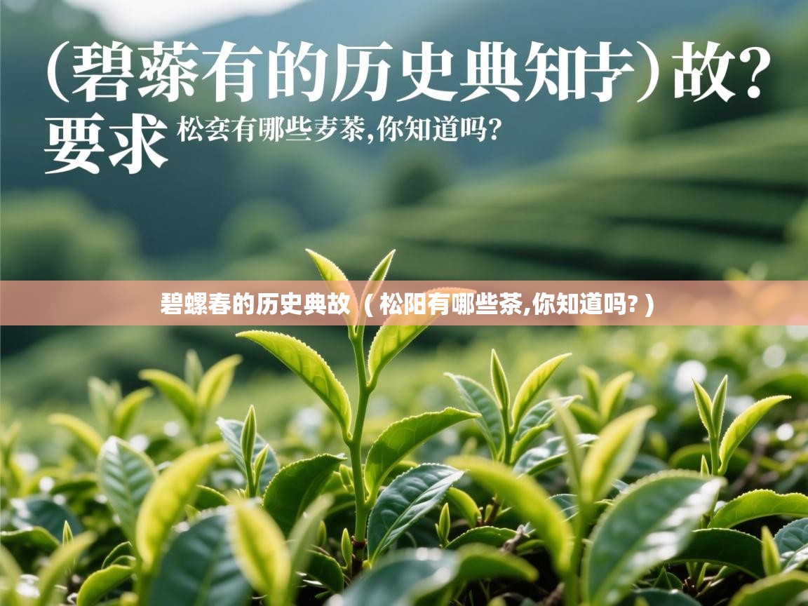  碧螺春的历史典故  ( 松阳有哪些茶,你知道吗? )
