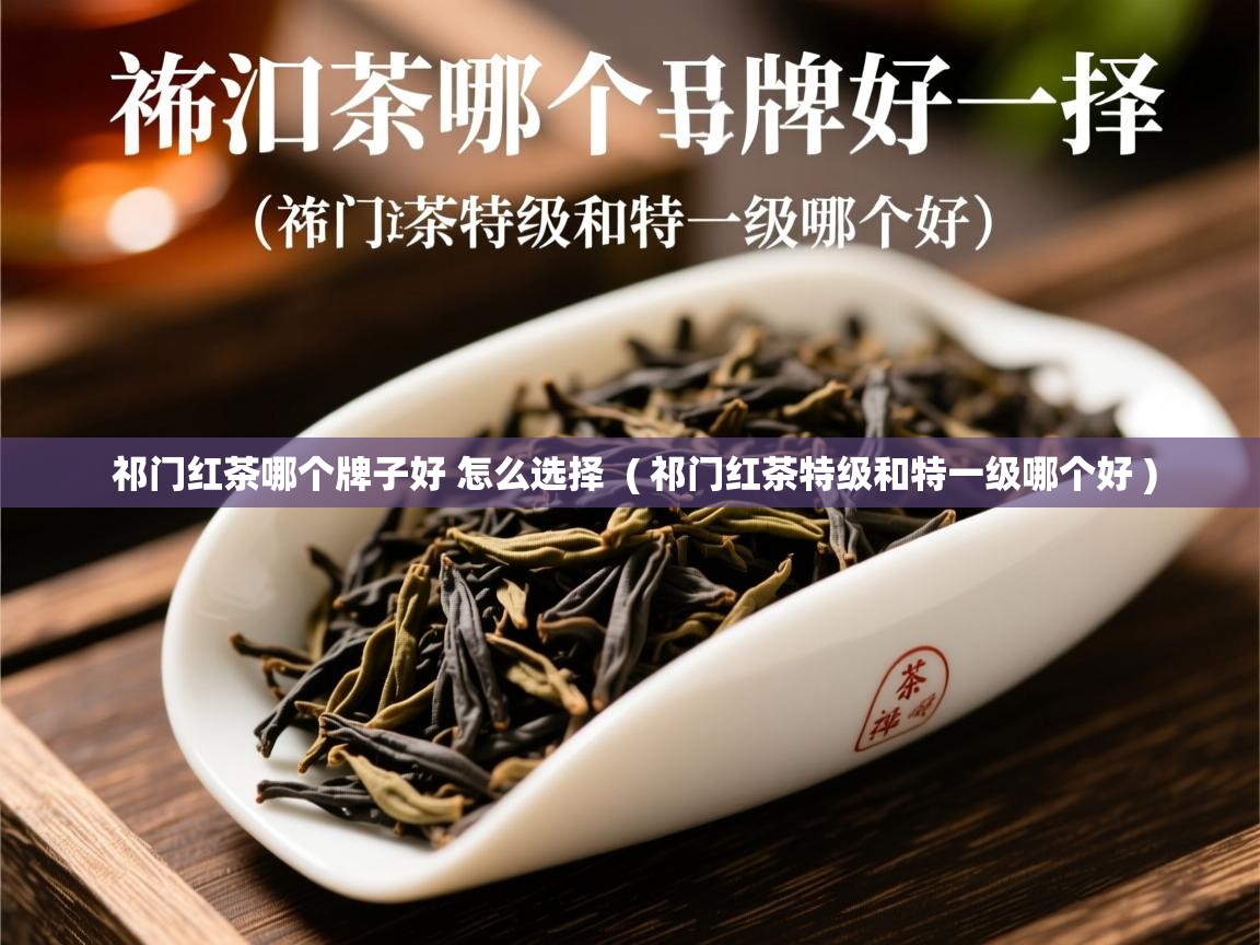 祁门红茶哪个牌子好 怎么选择 ( 祁门红茶特级和特一级哪个好 ) 祁门红茶哪个牌子好 怎么选择 ( 祁门红茶特级和特一级哪个好 )