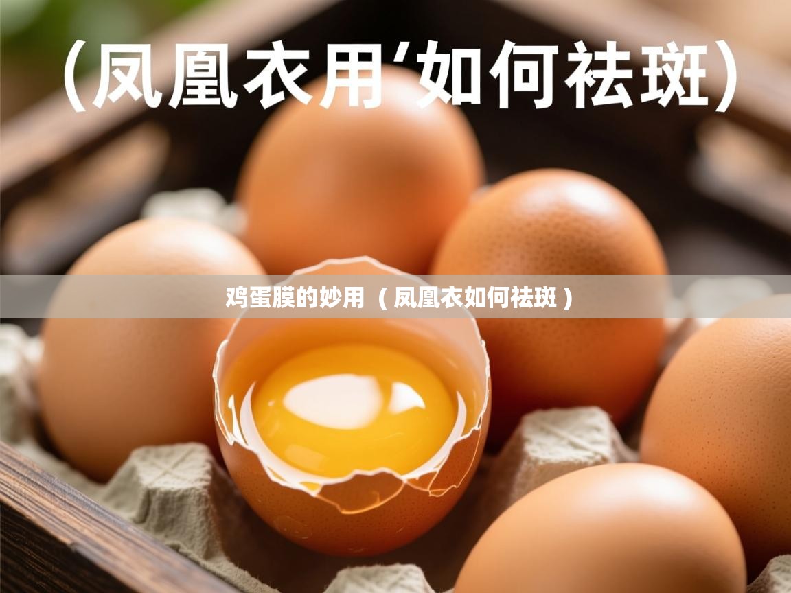 鸡蛋膜的妙用 ( 凤凰衣如何祛斑 ) 鸡蛋膜的妙用 ( 凤凰衣如何祛斑 )