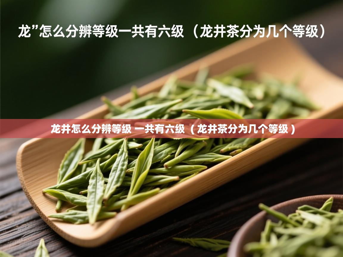 龙井怎么分辨等级 一共有六级 ( 龙井茶分为几个等级 ) 龙井怎么分辨等级 一共有六级 ( 龙井茶分为几个等级 )
