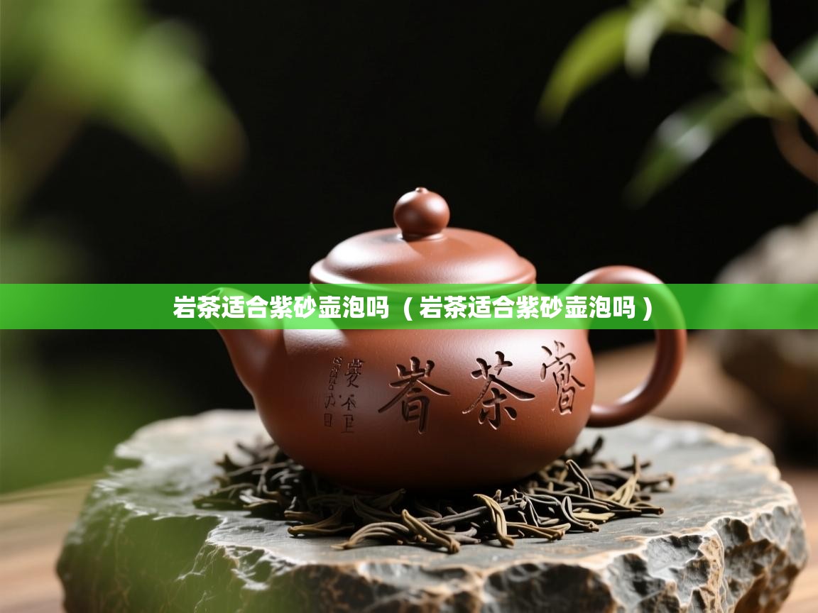  岩茶适合紫砂壶泡吗  ( 岩茶适合紫砂壶泡吗 )