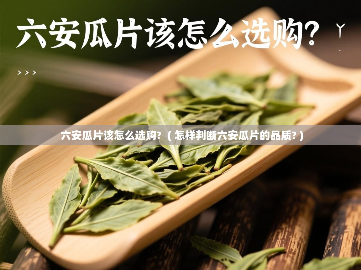 六安瓜片该怎么选购? ( 怎样判断六安瓜片的品质? ) 六安瓜片该怎么选购? ( 怎样判断六安瓜片的品质? )