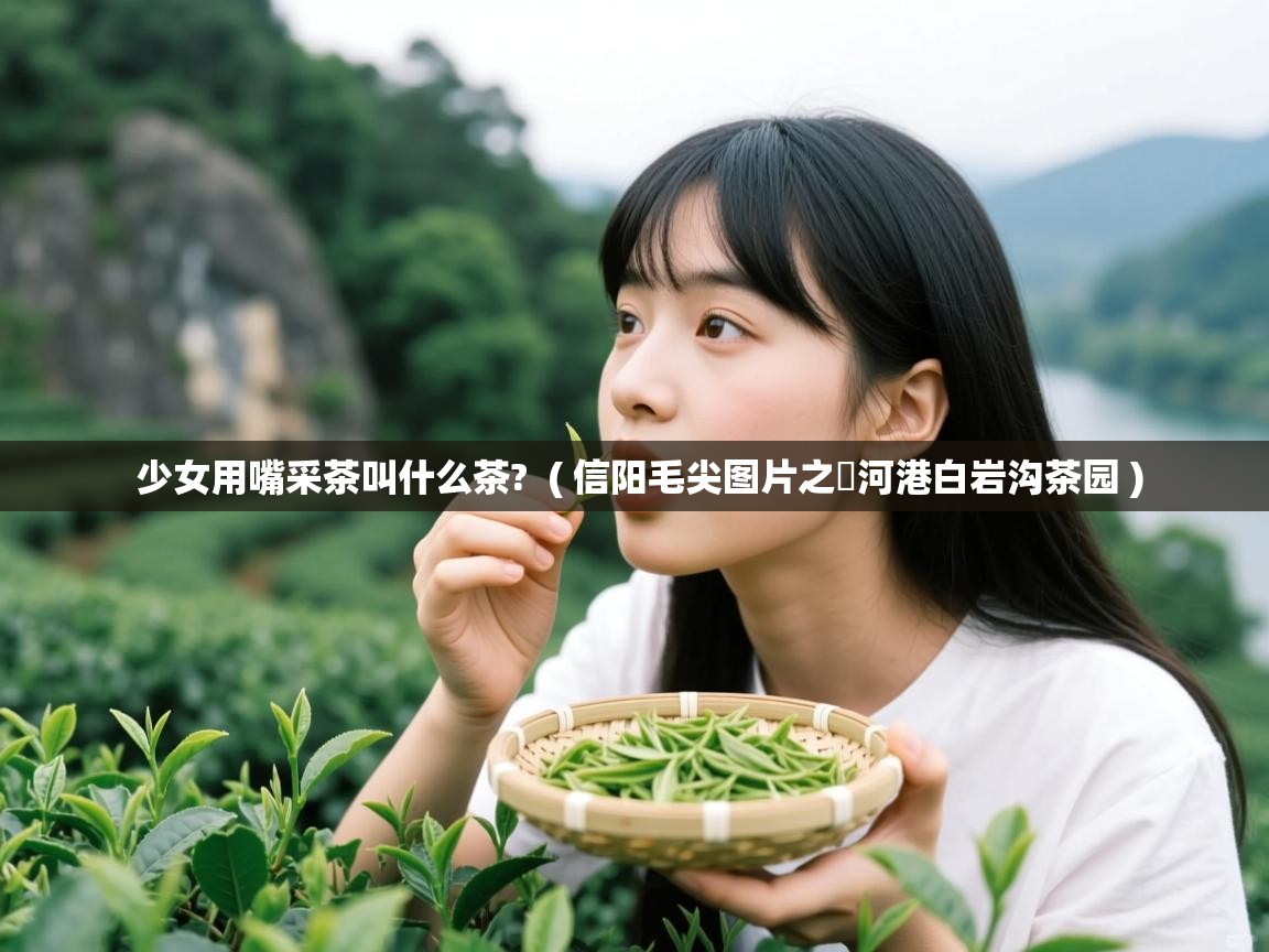 少女用嘴采茶叫什么茶? ( 信阳毛尖图片之浉河港白岩沟茶园 ) 少女用嘴采茶叫什么茶? ( 信阳毛尖图片之浉河港白岩沟茶园 )