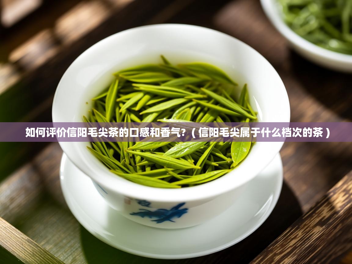 如何评价信阳毛尖茶的口感和香气? ( 信阳毛尖属于什么档次的茶 ) 如何评价信阳毛尖茶的口感和香气? ( 信阳毛尖属于什么档次的茶 )