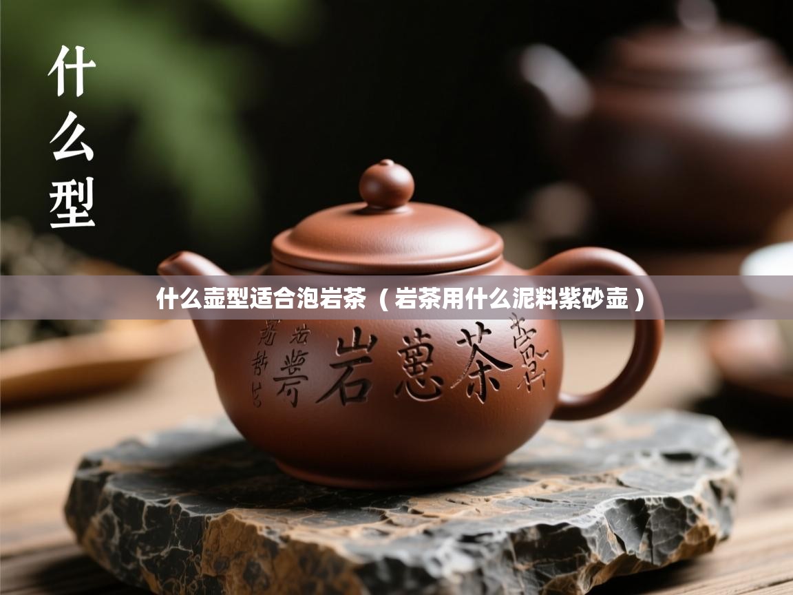  什么壶型适合泡岩茶  ( 岩茶用什么泥料紫砂壶 )