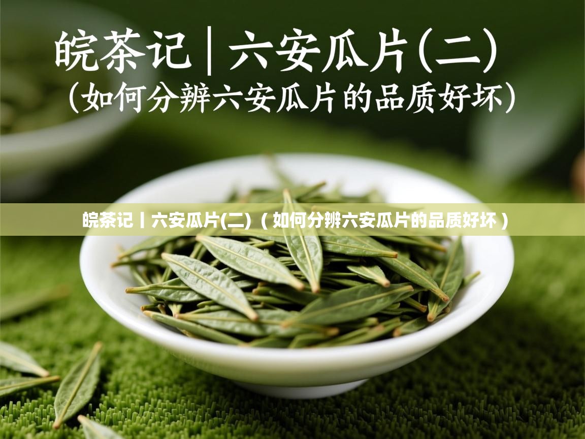  皖茶记丨六安瓜片(二)  ( 如何分辨六安瓜片的品质好坏 )