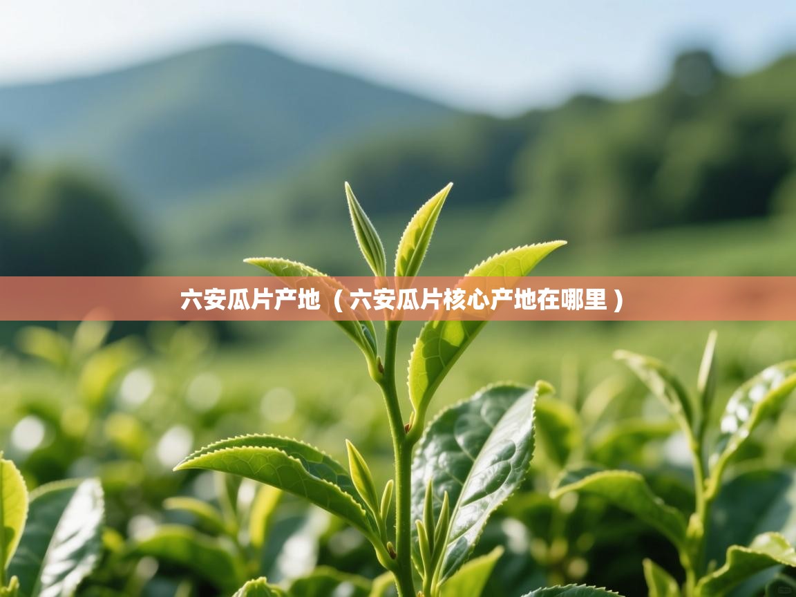  六安瓜片产地  ( 六安瓜片核心产地在哪里 )