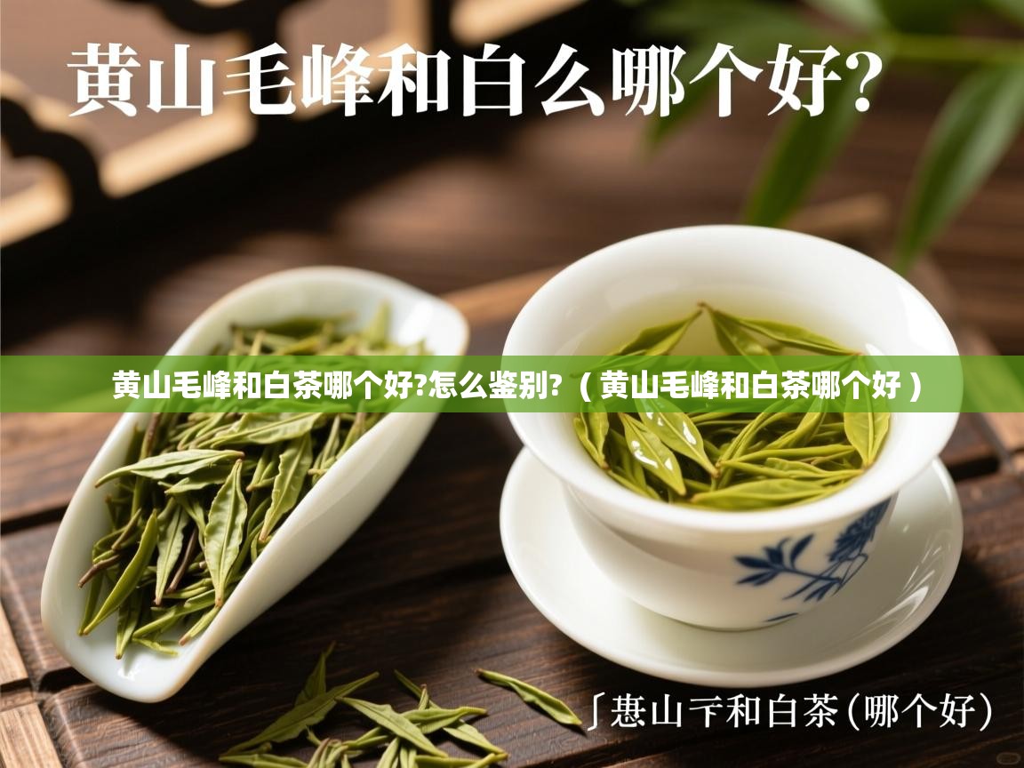 黄山毛峰和白茶哪个好?怎么鉴别? ( 黄山毛峰和白茶哪个好 ) 黄山毛峰和白茶哪个好?怎么鉴别? ( 黄山毛峰和白茶哪个好 )