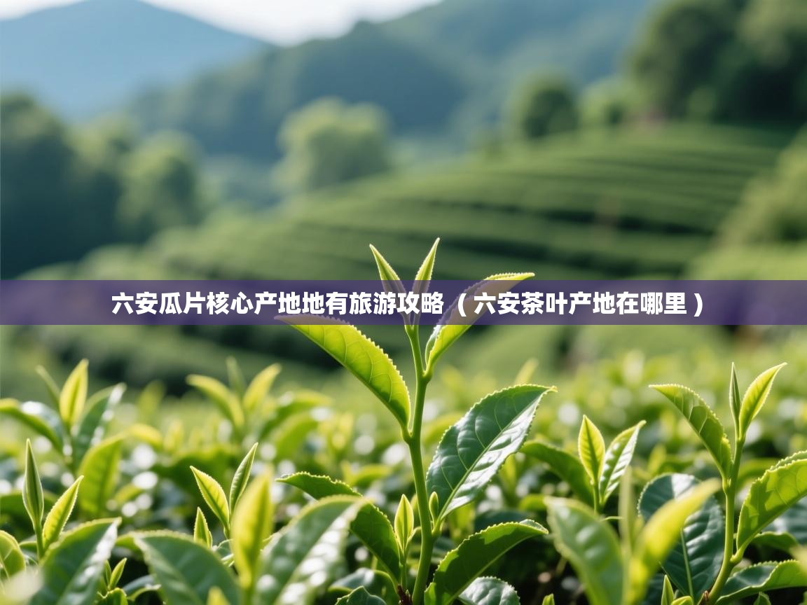 六安瓜片核心产地地有旅游攻略 ( 六安茶叶产地在哪里 ) 六安瓜片核心产地地有旅游攻略 ( 六安茶叶产地在哪里 )