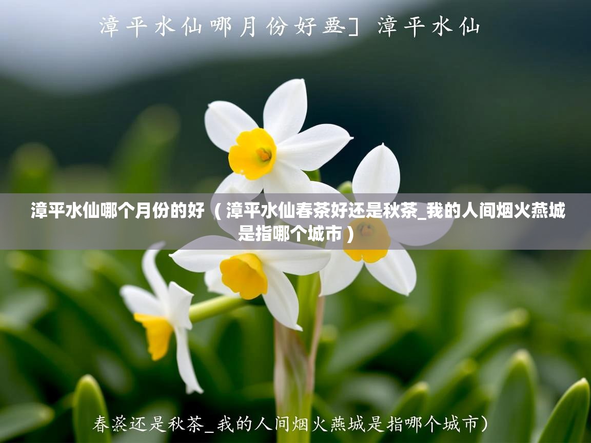 漳平水仙哪个月份的好 ( 漳平水仙春茶好还是秋茶_我的人间烟火燕城是指哪个城市 ) 漳平水仙哪个月份的好 ( 漳平水仙春茶好还是秋茶_我的人间烟火燕城是指哪个城市 )