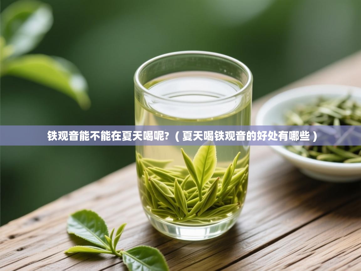 铁观音能不能在夏天喝呢? ( 夏天喝铁观音的好处有哪些 ) 铁观音能不能在夏天喝呢? ( 夏天喝铁观音的好处有哪些 )