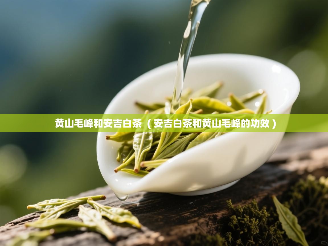 黄山毛峰和安吉白茶 ( 安吉白茶和黄山毛峰的功效 ) 黄山毛峰和安吉白茶 ( 安吉白茶和黄山毛峰的功效 )