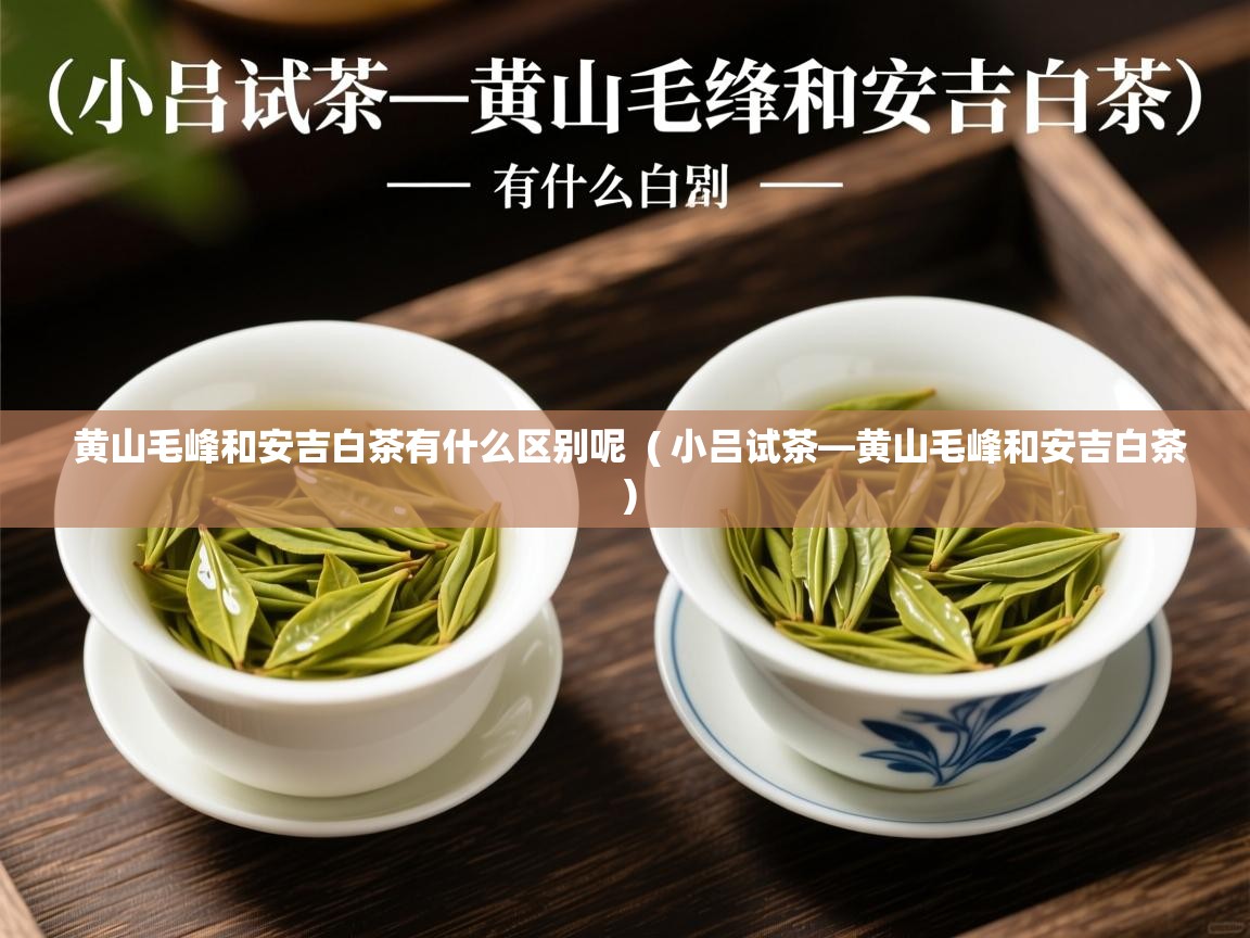 黄山毛峰和安吉白茶有什么区别呢 ( 小吕试茶—黄山毛峰和安吉白茶 ) 黄山毛峰和安吉白茶有什么区别呢 ( 小吕试茶—黄山毛峰和安吉白茶 )