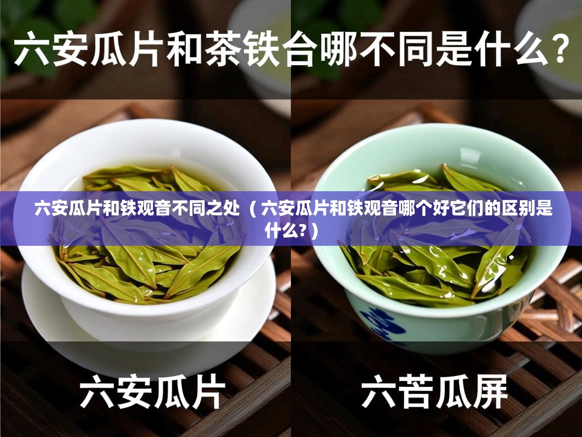 六安瓜片和铁观音不同之处 ( 六安瓜片和铁观音哪个好它们的区别是什么? ) 六安瓜片和铁观音不同之处 ( 六安瓜片和铁观音哪个好它们的区别是什么? )