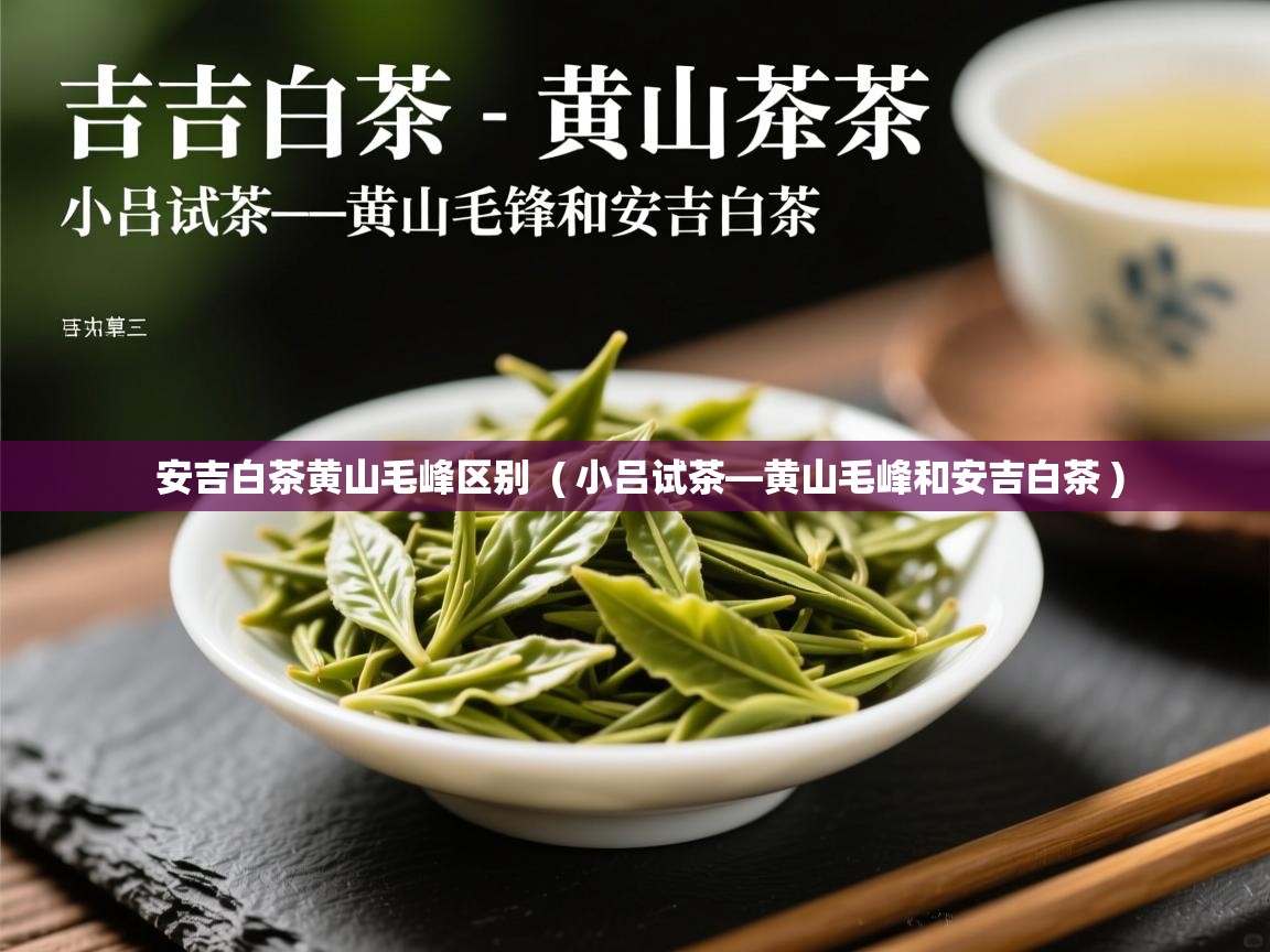安吉白茶黄山毛峰区别 ( 小吕试茶—黄山毛峰和安吉白茶 ) 安吉白茶黄山毛峰区别 ( 小吕试茶—黄山毛峰和安吉白茶 )