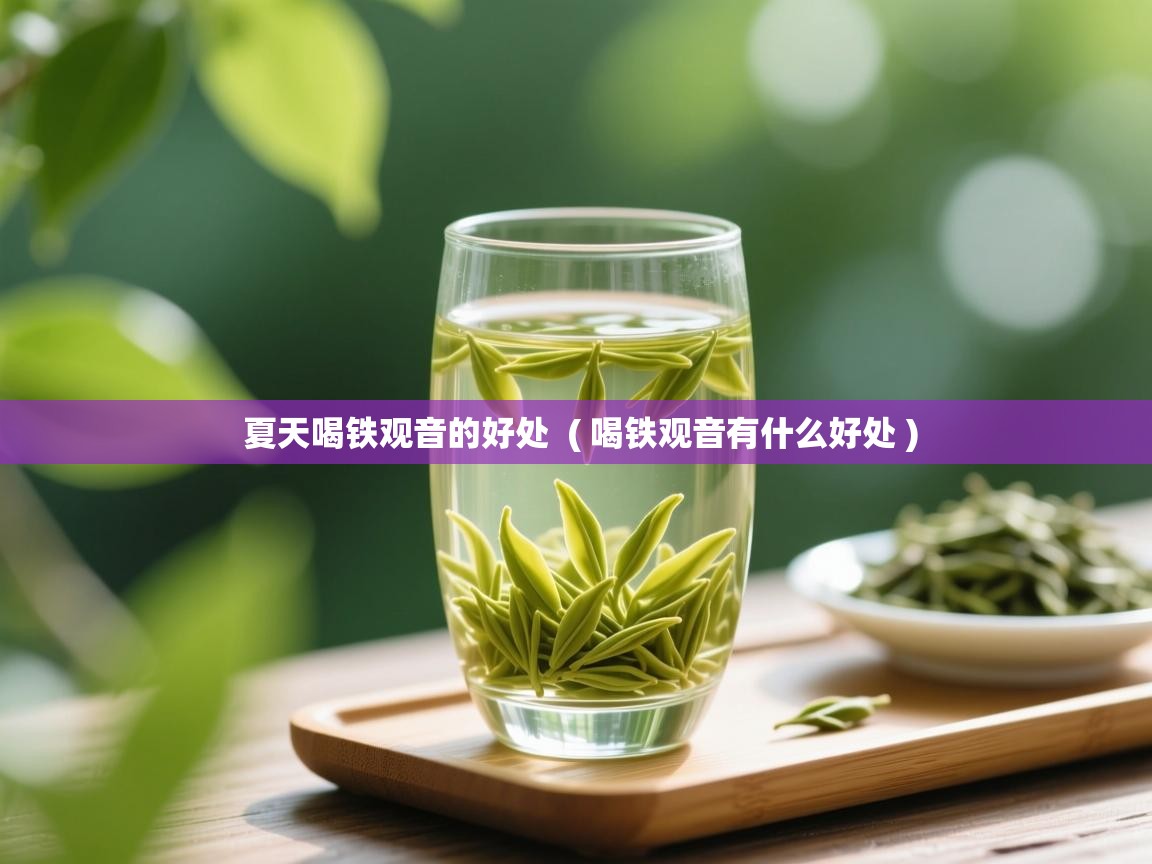 夏天喝铁观音的好处 ( 喝铁观音有什么好处 ) 夏天喝铁观音的好处 ( 喝铁观音有什么好处 )