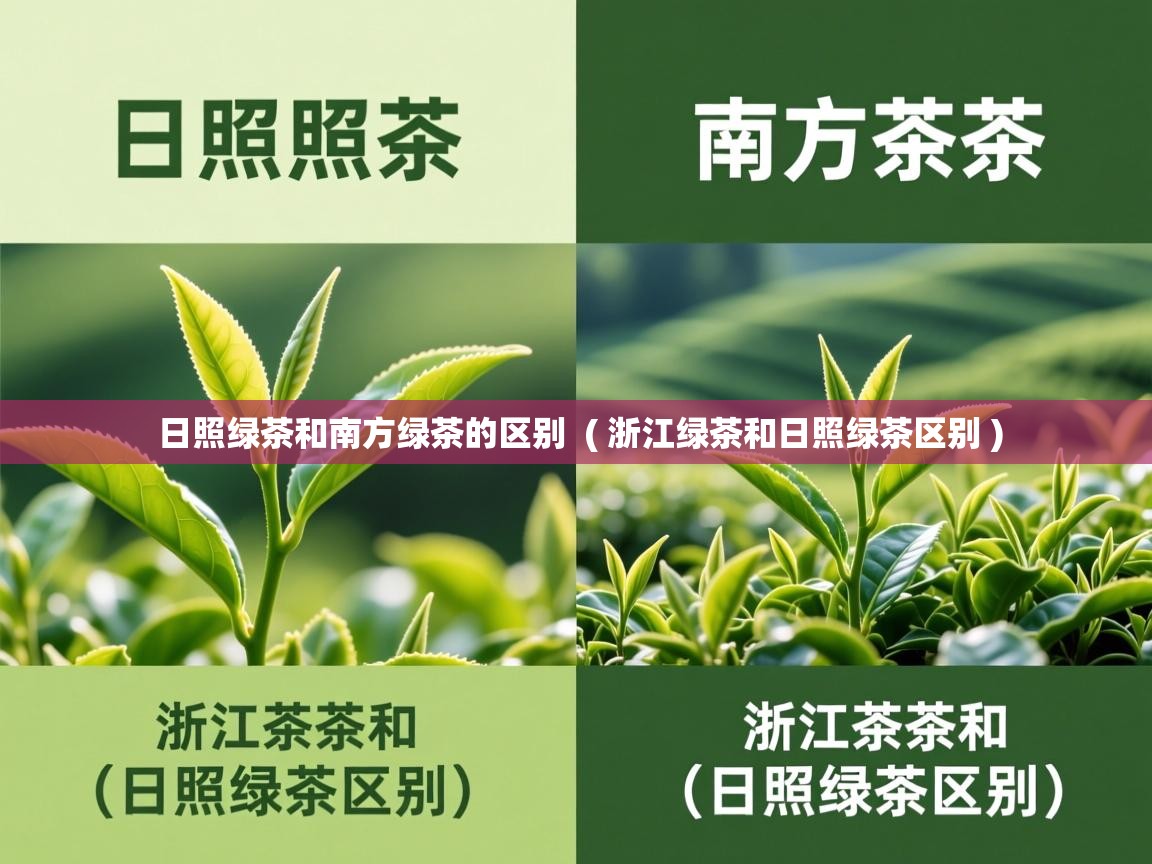 日照绿茶和南方绿茶的区别 ( 浙江绿茶和日照绿茶区别 ) 日照绿茶和南方绿茶的区别 ( 浙江绿茶和日照绿茶区别 )