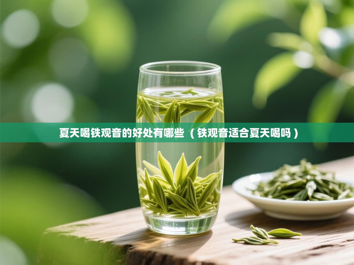 夏天喝铁观音的好处有哪些 ( 铁观音适合夏天喝吗 ) 夏天喝铁观音的好处有哪些 ( 铁观音适合夏天喝吗 )