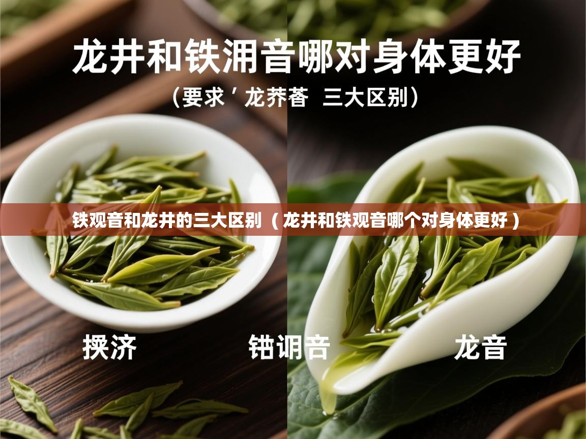 铁观音和龙井的三大区别 ( 龙井和铁观音哪个对身体更好 ) 铁观音和龙井的三大区别 ( 龙井和铁观音哪个对身体更好 )