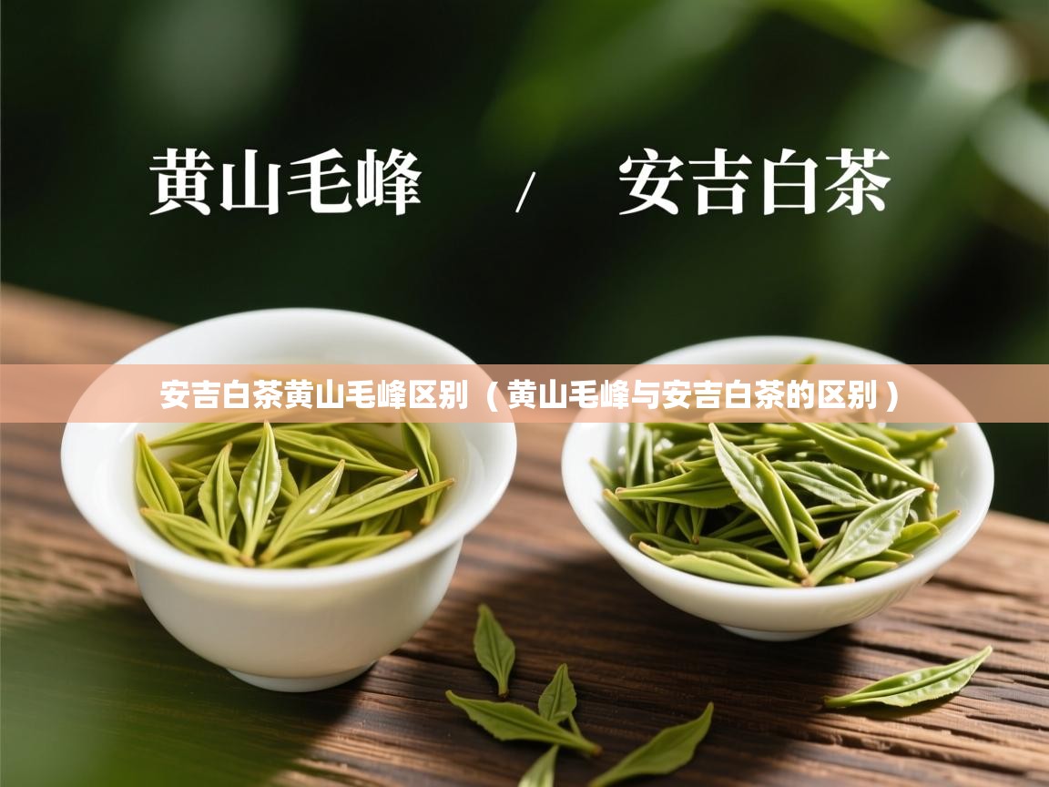 安吉白茶黄山毛峰区别 ( 黄山毛峰与安吉白茶的区别 ) 安吉白茶黄山毛峰区别 ( 黄山毛峰与安吉白茶的区别 )