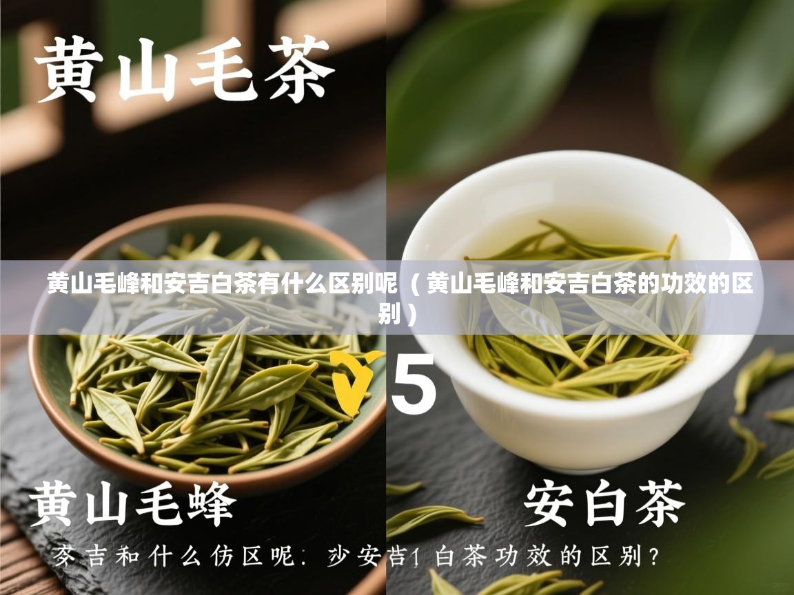 黄山毛峰和安吉白茶有什么区别呢 ( 黄山毛峰和安吉白茶的功效的区别 ) 黄山毛峰和安吉白茶有什么区别呢 ( 黄山毛峰和安吉白茶的功效的区别 )