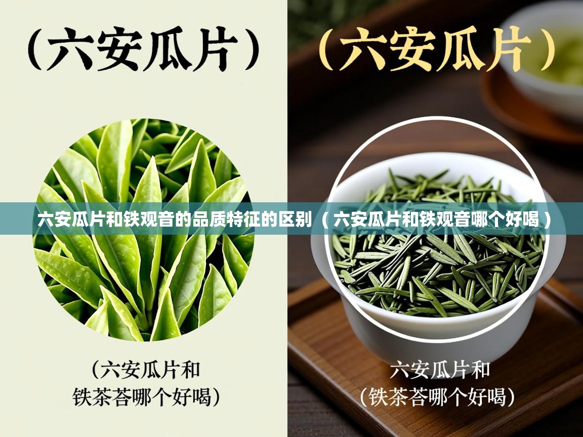  六安瓜片和铁观音的品质特征的区别  ( 六安瓜片和铁观音哪个好喝 )