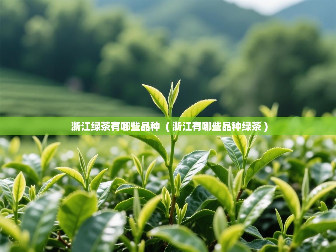 浙江绿茶有哪些品种 ( 浙江有哪些品种绿茶 ) 浙江绿茶有哪些品种 ( 浙江有哪些品种绿茶 )