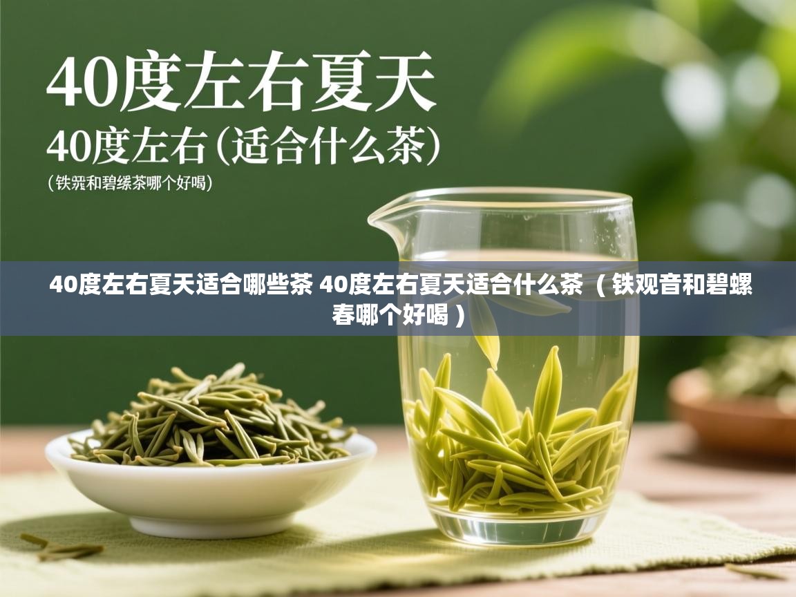 40度左右夏天适合哪些茶 40度左右夏天适合什么茶 ( 铁观音和碧螺春哪个好喝 ) 40度左右夏天适合哪些茶 40度左右夏天适合什么茶 ( 铁观音和碧螺春哪个好喝 )
