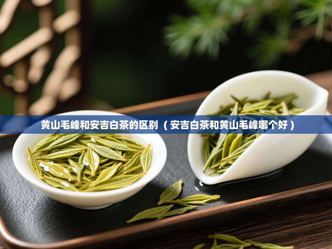 黄山毛峰和安吉白茶的区别 ( 安吉白茶和黄山毛峰哪个好 ) 黄山毛峰和安吉白茶的区别 ( 安吉白茶和黄山毛峰哪个好 )
