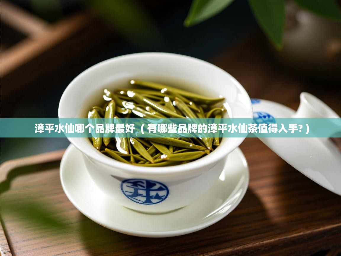 漳平水仙哪个品牌最好  ( 有哪些品牌的漳平水仙茶值得入手? )