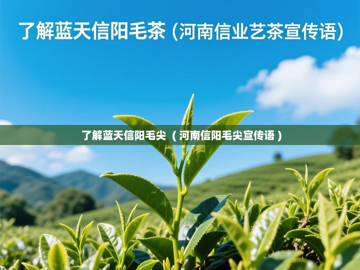了解蓝天信阳毛尖 ( 河南信阳毛尖宣传语 ) 了解蓝天信阳毛尖 ( 河南信阳毛尖宣传语 )