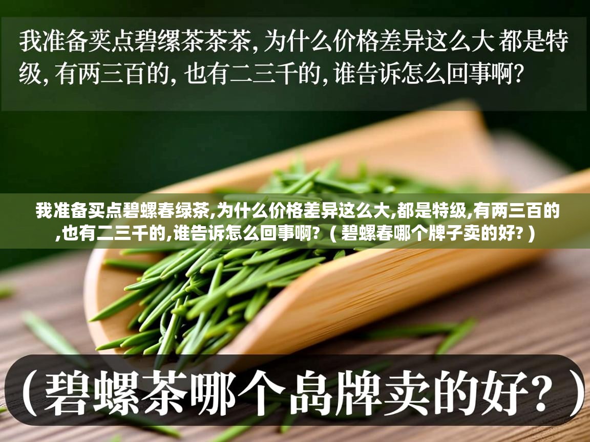 我准备买点碧螺春绿茶,为什么价格差异这么大,都是特级,有两三百的,也有二三千的,谁告诉怎么回事啊? ( 碧螺春哪个牌子卖的好? ) 我准备买点碧螺春绿茶,为什么价格差异这么大,都是特级,有两三百的,也有二三千的,谁告诉怎么回事啊? ( 碧螺春哪个牌子卖的好? )
