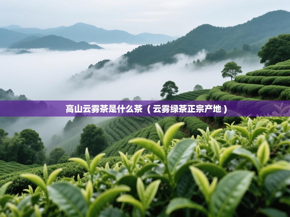  高山云雾茶是什么茶  ( 云雾绿茶正宗产地 )
