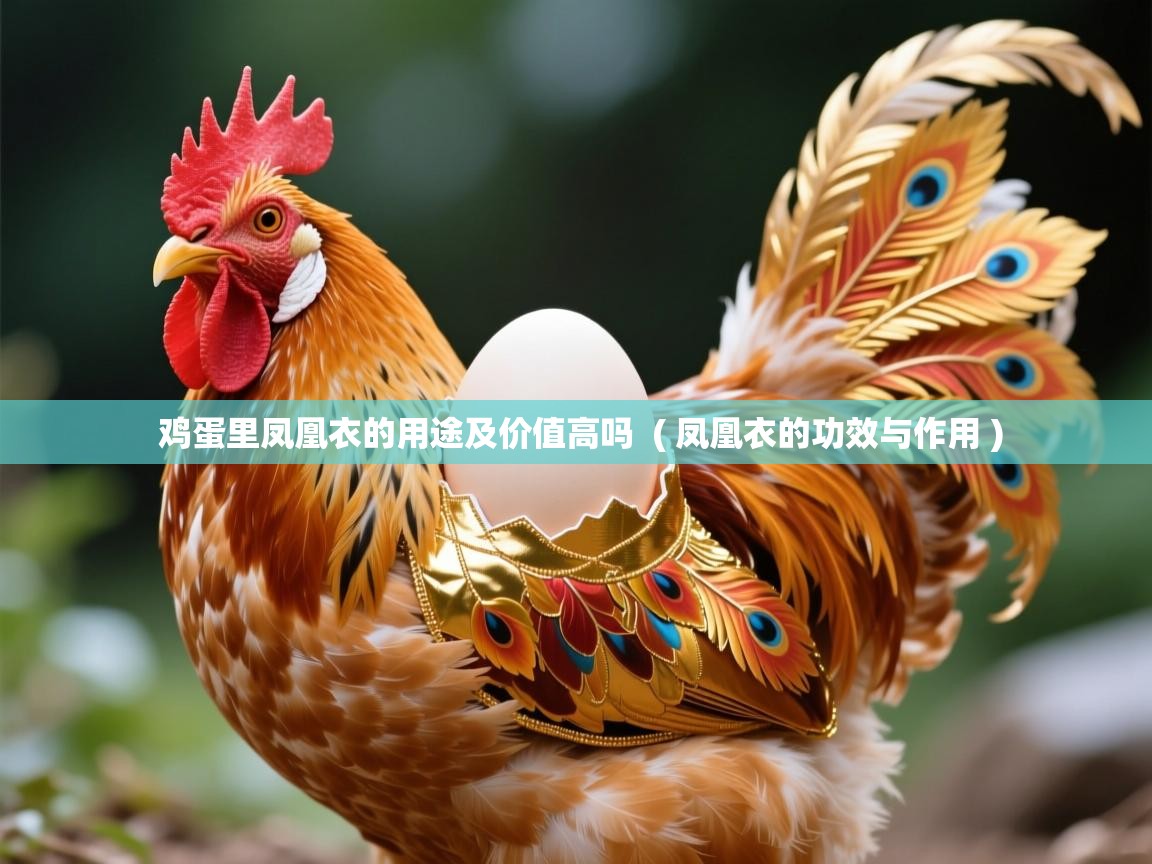 鸡蛋里凤凰衣的用途及价值高吗 ( 凤凰衣的功效与作用 ) 鸡蛋里凤凰衣的用途及价值高吗 ( 凤凰衣的功效与作用 )