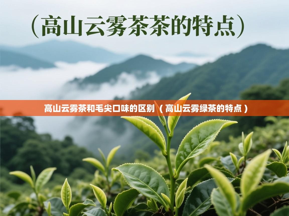 高山云雾茶和毛尖口味的区别 ( 高山云雾绿茶的特点 ) 高山云雾茶和毛尖口味的区别 ( 高山云雾绿茶的特点 )