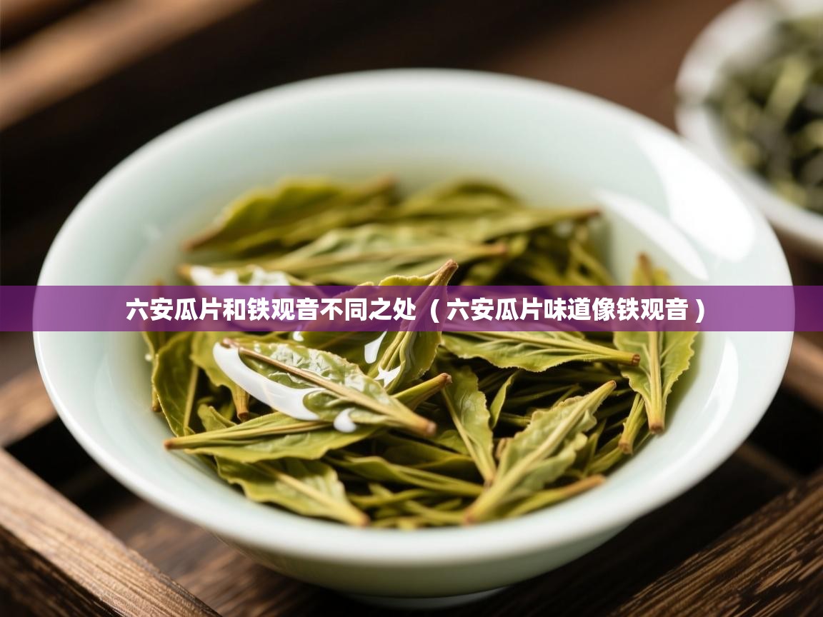 六安瓜片和铁观音不同之处 ( 六安瓜片味道像铁观音 ) 六安瓜片和铁观音不同之处 ( 六安瓜片味道像铁观音 )