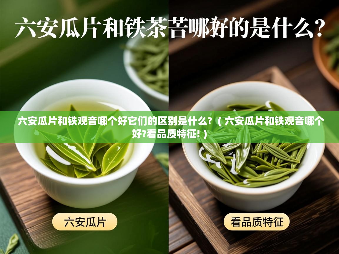 六安瓜片和铁观音哪个好它们的区别是什么? ( 六安瓜片和铁观音哪个好?看品质特征! ) 六安瓜片和铁观音哪个好它们的区别是什么? ( 六安瓜片和铁观音哪个好?看品质特征! )