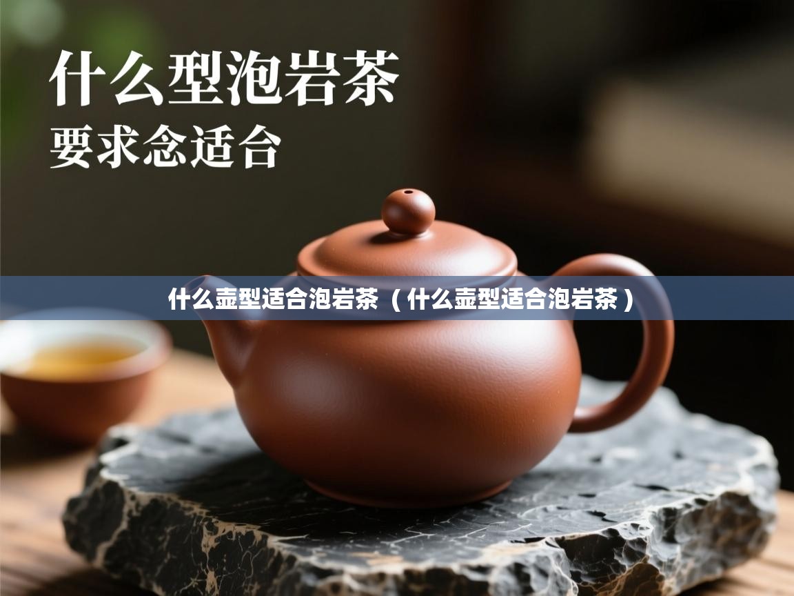 什么壶型适合泡岩茶  ( 什么壶型适合泡岩茶 )