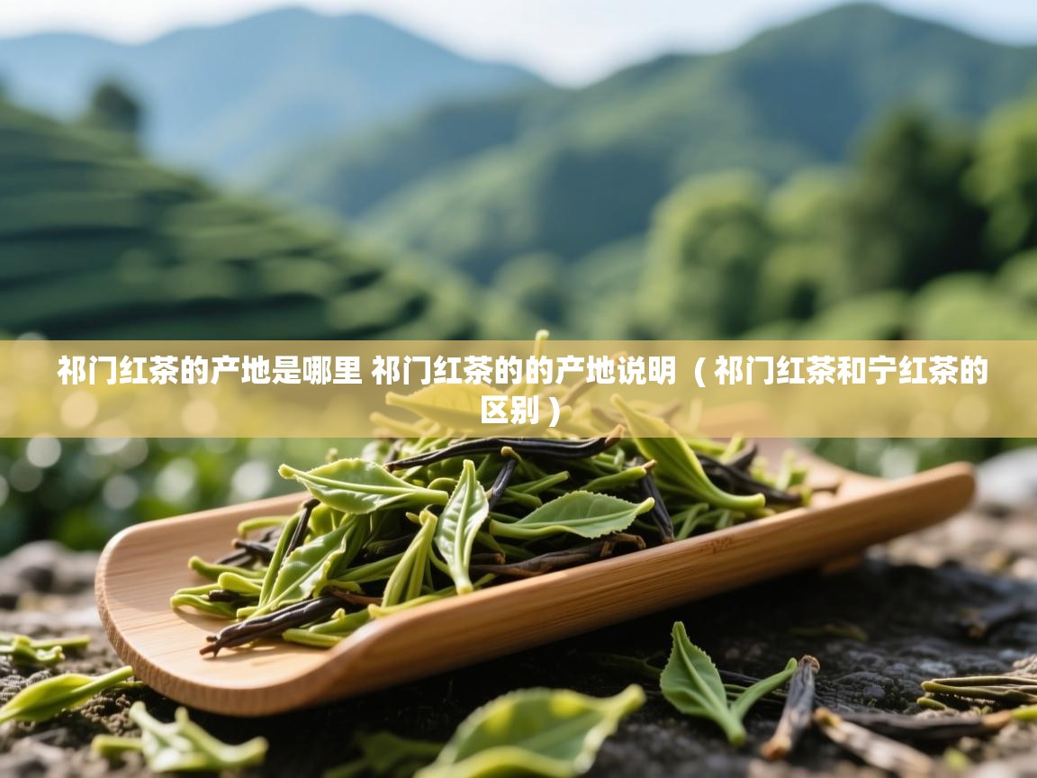  祁门红茶的产地是哪里 祁门红茶的的产地说明  ( 祁门红茶和宁红茶的区别 )