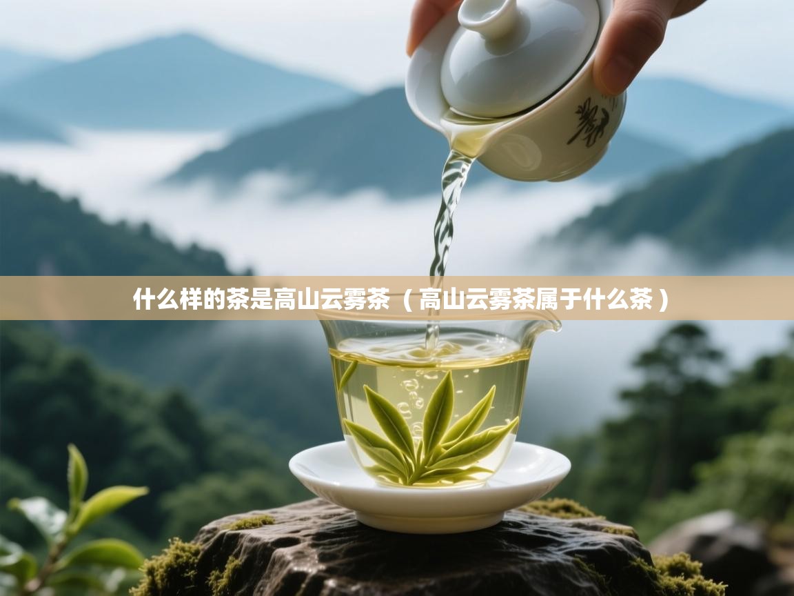  什么样的茶是高山云雾茶  ( 高山云雾茶属于什么茶 )
