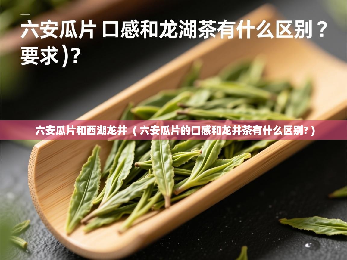 六安瓜片和西湖龙井 ( 六安瓜片的口感和龙井茶有什么区别? ) 六安瓜片和西湖龙井 ( 六安瓜片的口感和龙井茶有什么区别? )