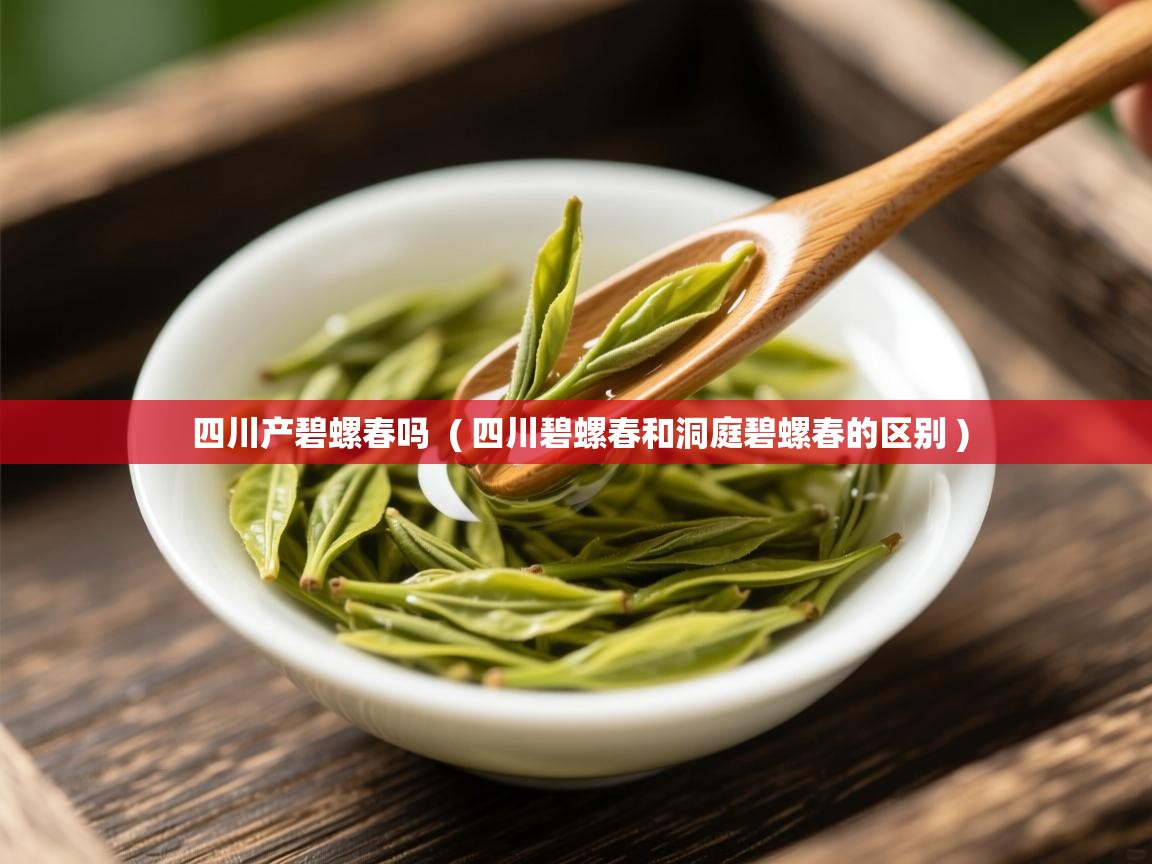 四川产碧螺春吗 ( 四川碧螺春和洞庭碧螺春的区别 ) 四川产碧螺春吗 ( 四川碧螺春和洞庭碧螺春的区别 )