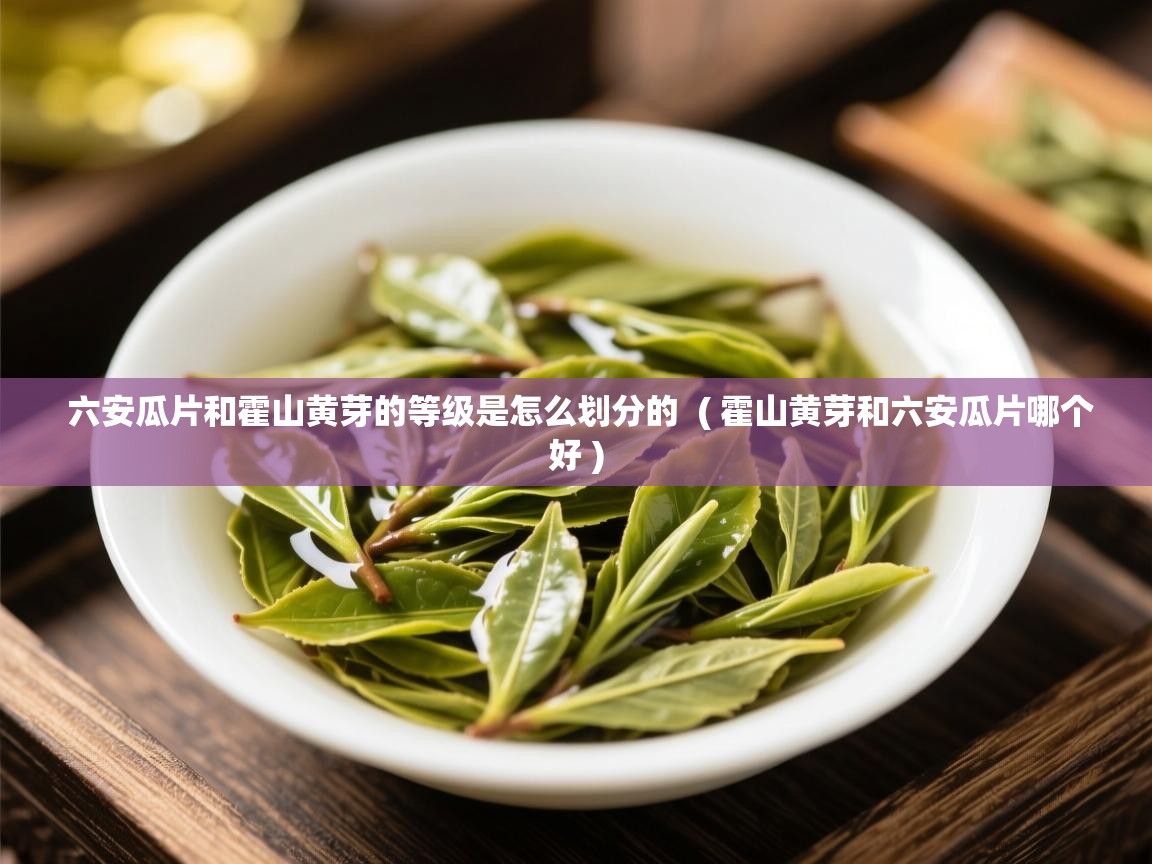 六安瓜片和霍山黄芽的等级是怎么划分的 ( 霍山黄芽和六安瓜片哪个好 ) 六安瓜片和霍山黄芽的等级是怎么划分的 ( 霍山黄芽和六安瓜片哪个好 )